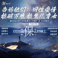 《切勿擅动》什么时候上映在哪看 本尼西奥·德尔·托罗主演