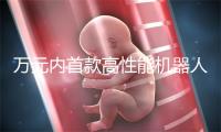 万元内首款高性能机器人，松延获千台小布米订单