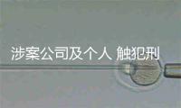 涉案公司及个人 触犯刑法被处罚